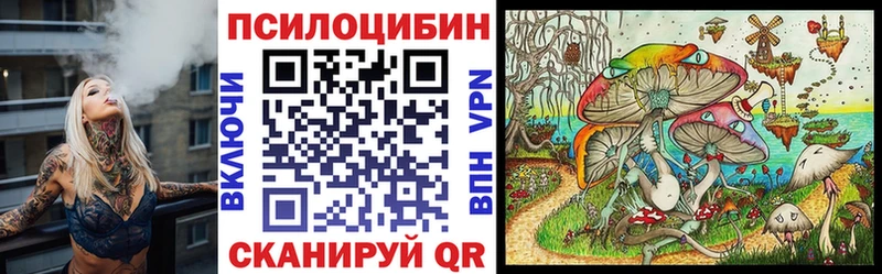 Галлюциногенные грибы Cubensis Чегем