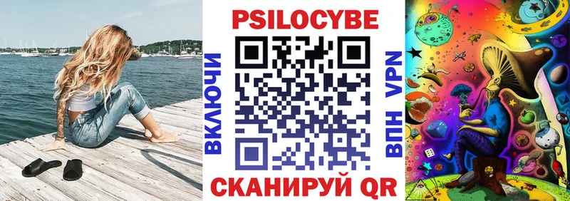 Галлюциногенные грибы Psilocybe  наркота  Чегем 